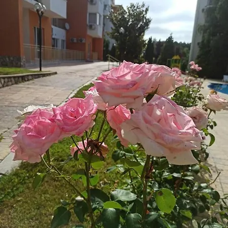 Rose An With The View At The Sea, Svieti Vlas, Bulgaria Apartment Sveti Vlas